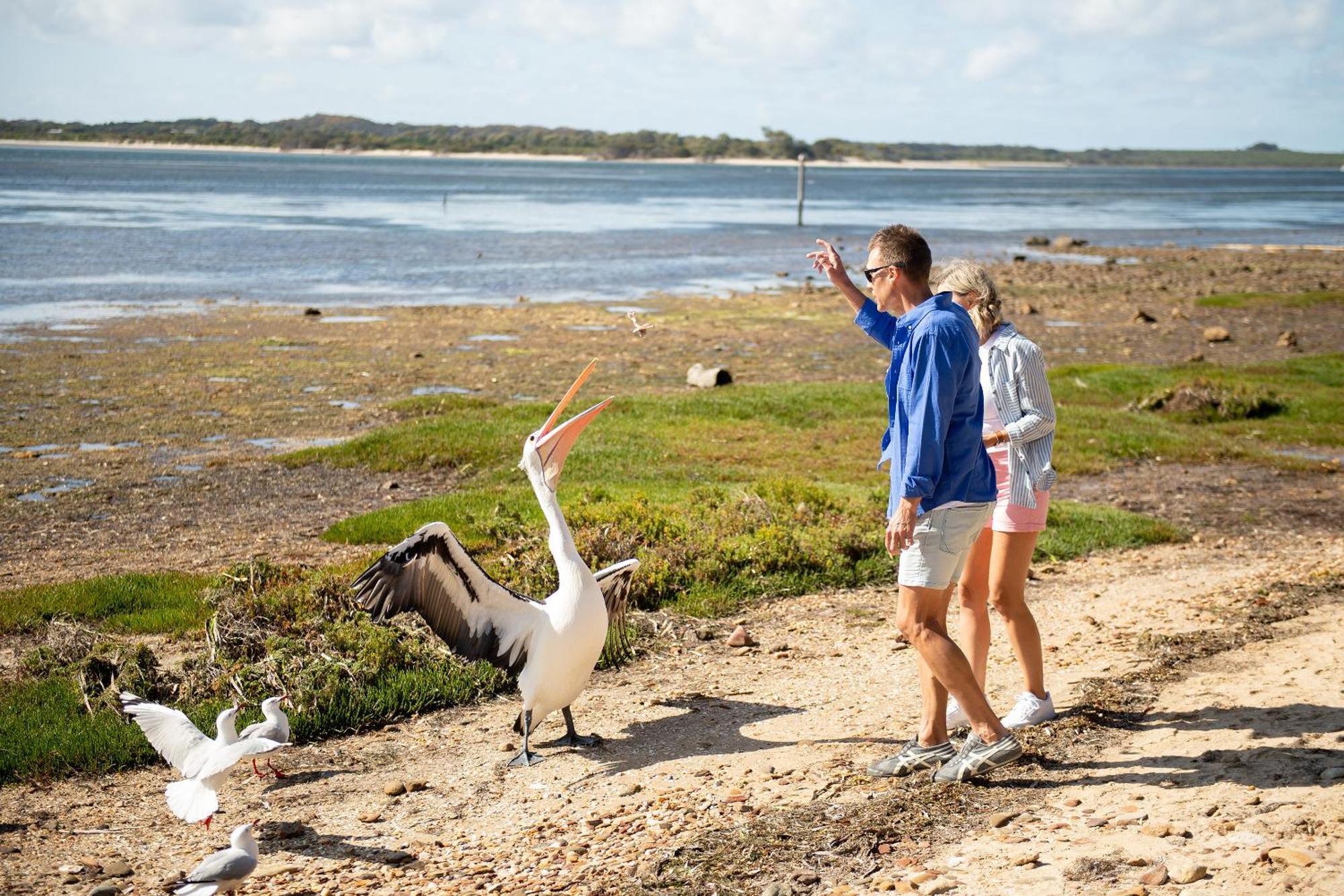 Mercure Kangaroo Island Lodge American River Kültér fotó